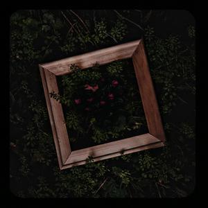 欧美XXxX性肛门交
